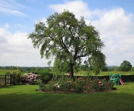 Hill House Farm Hotel Tarporley Exterior photo